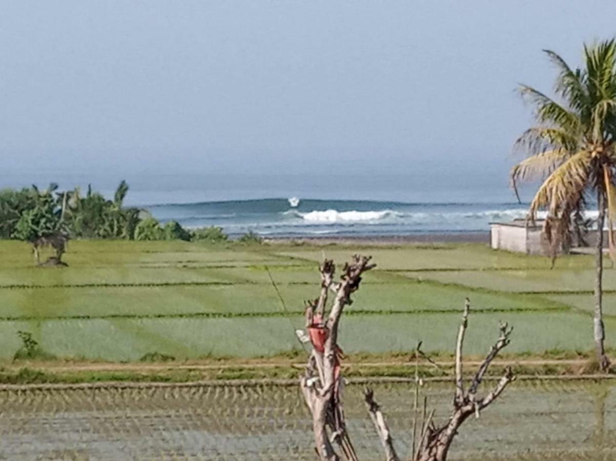 Harris Surf Villa Pulukan Eksteriør bilde